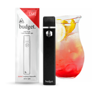 Budget Delta8 1 Gram Disposable Pens